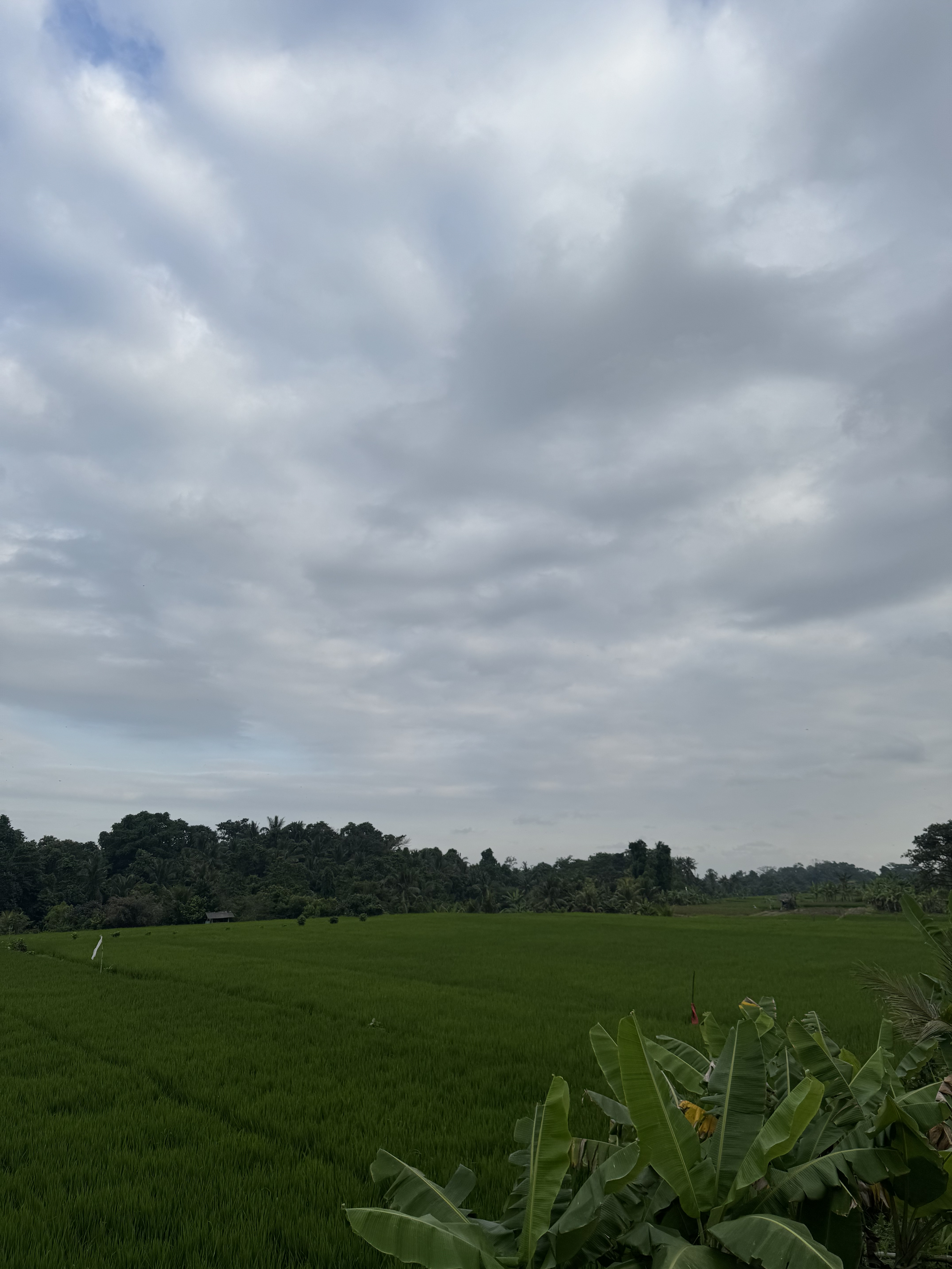 Pemandangan alam desa Buahan  yang asri